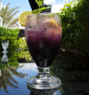 Blueberry Mojito