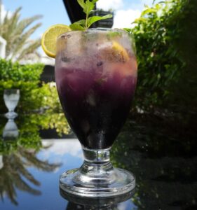 Blueberry Mojito
